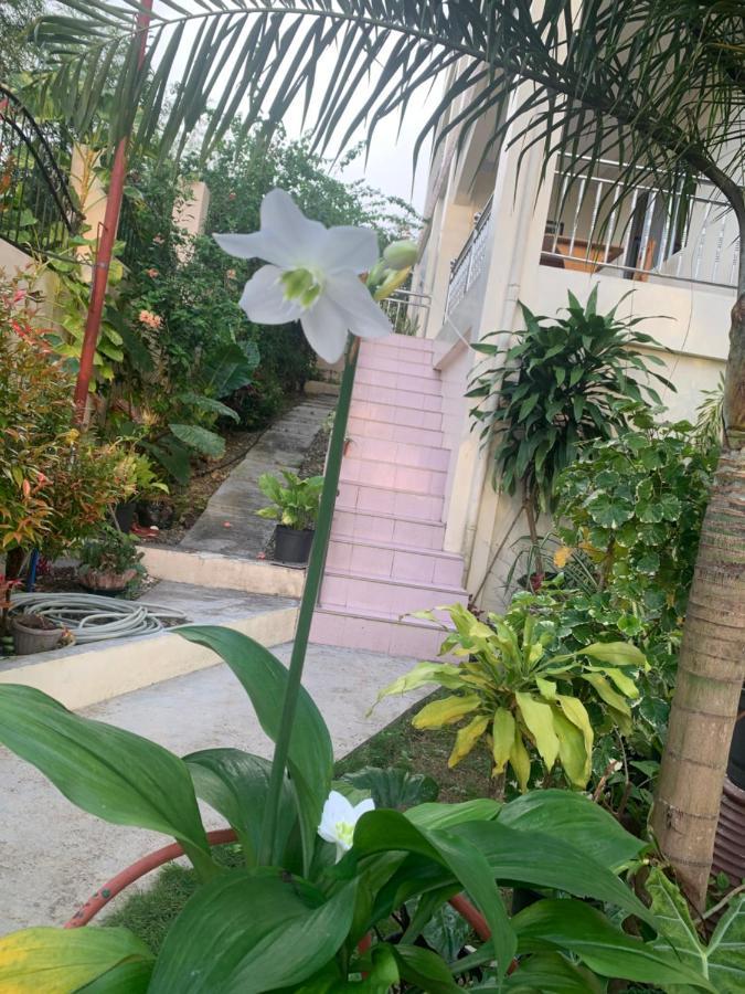 Soul Travellers Dagatan Guesthouse Badian Exterior foto