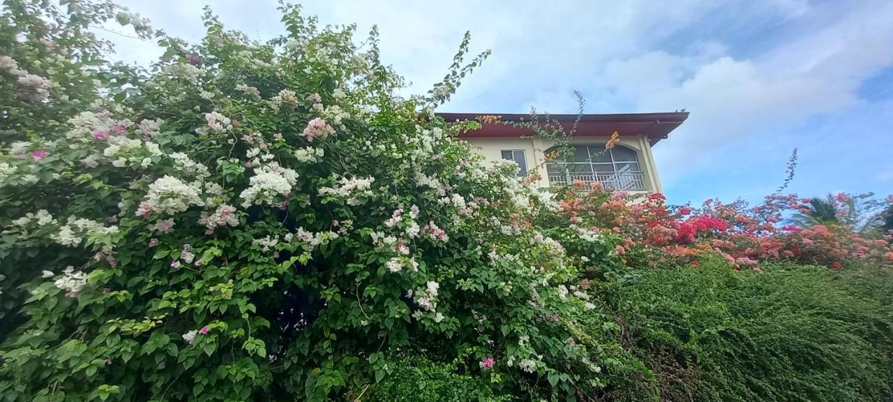 Soul Travellers Dagatan Guesthouse Badian Exterior foto